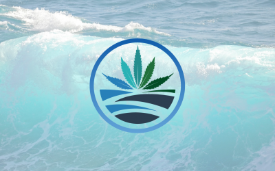 High Tide’s Cannabis Sales Soar; Fire & Flower Clipped by Competition